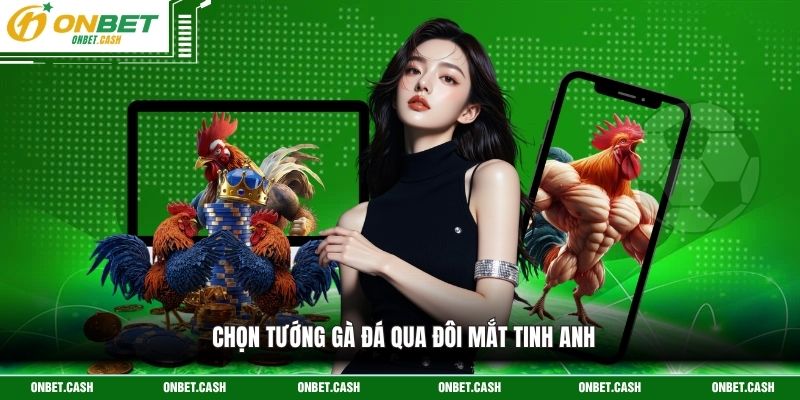 Chọn Tướng Gà Đá - Nghệ Thuật Nhận Diện Linh Kê Qua Hình Thể 2 Chọn tướng gà đá qua đôi mắt tinh anh