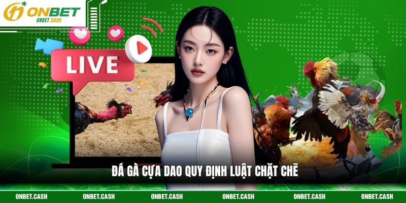 Đá Gà Cựa Dao - Trận Chiến Sinh Tử Kịch Tính Trên Đấu Trường 2 Đá gà cựa dao quy định luật chặt chẽ