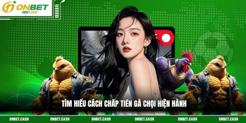 Cách Chấp Tiền Gà Chọi - Quy Luật Phân Định Thắng Thua 2 Tìm hiểu cách chấp tiền gà chọi hiện hành