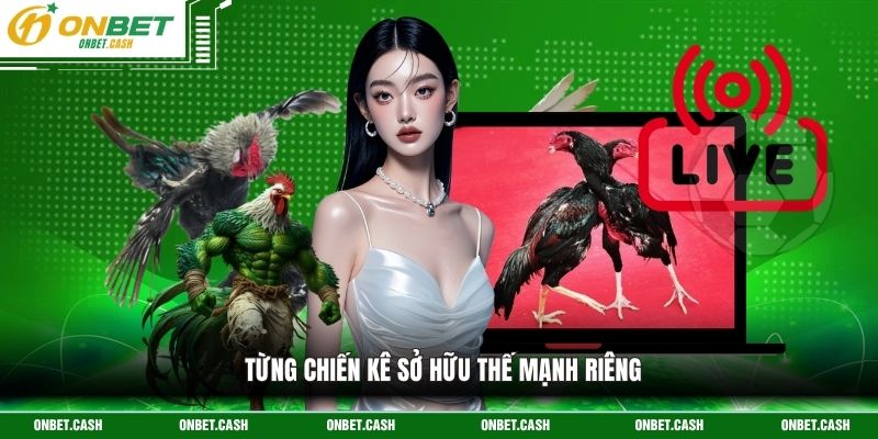 Đá Gà Cựa Dao - Trận Chiến Sinh Tử Kịch Tính Trên Đấu Trường 3 Từng chiến kê sở hữu thế mạnh riêng